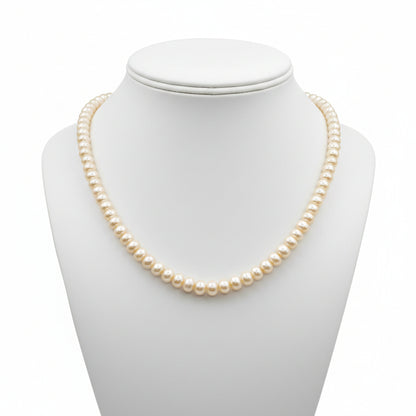 Freshwater Pearls and Gold Filled Clasp Short Necklace 15”